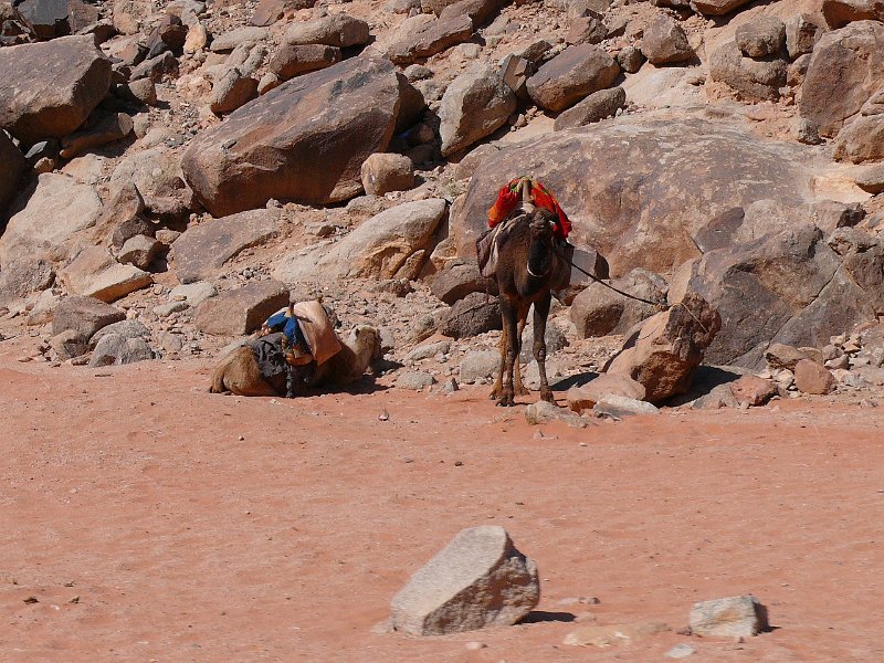 Wadi Rum (5).jpg